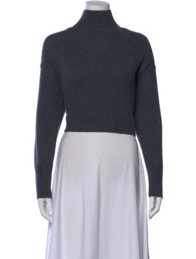 Pre-owned Naked Cashmere Cashmere Turtleneck Sweater In Gray