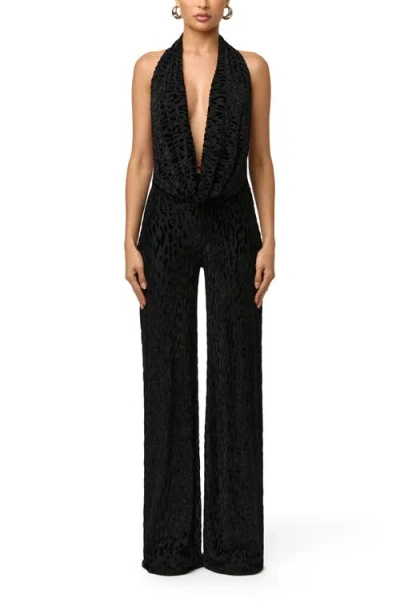 Naked Wardrobe Burnout Halter Jumpsuit In Black