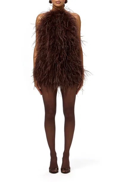 Naked Wardrobe Feather Minidress In Dark Chocolate