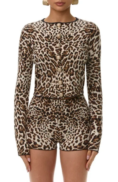 Naked Wardrobe Leopard Jacquard Cropped Cardigan In Multi