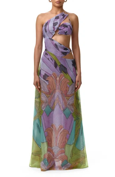 Naked Wardrobe Print Sheer Chiffon Cutout Maxi Dress In Multi