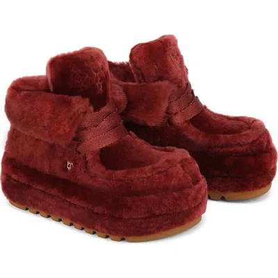 Naked Wolfe Bambi Suede/shearling Boot In Burgundy