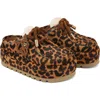 Naked Wolfe Blizzard Platform Slipper In Leopard Pony, Women's At Urban Outfitters In Leopard-suede/shearling