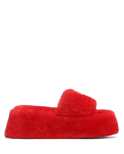 Naked Wolfe Ivy Shearling Red