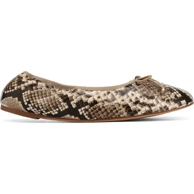 Naked Wolfe Scrunch Flats In Brown