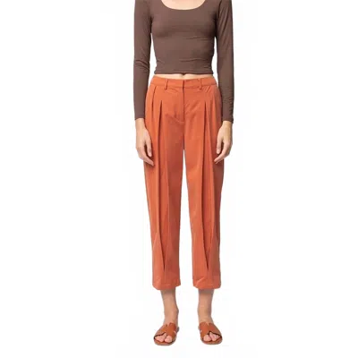 Naked Zebra Lourmarin Pant In Apricot In Orange
