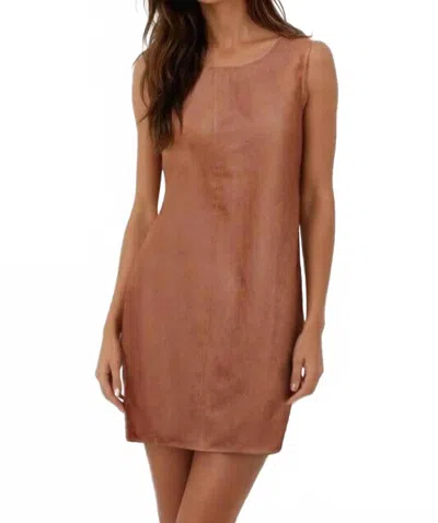 Naked Zebra Mattie Mini Dress In Rust In Brown