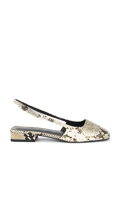 Nakedvice The Penny Flat In Multi