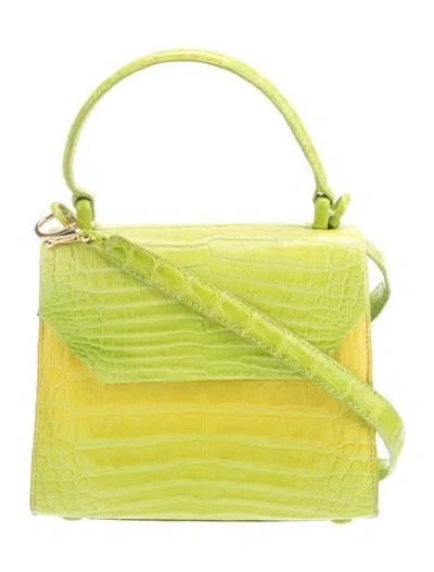 Pre-owned Nancy Gonzalez Crocodile Top Handle Bag In Green