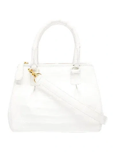 Pre-owned Nancy Gonzalez Crocodile Top Handle Bag In Neutral
