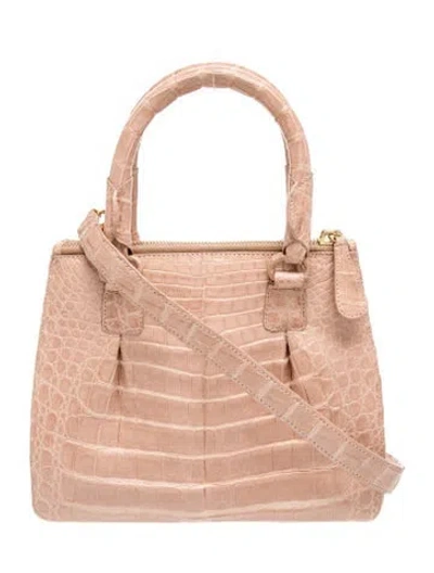 Pre-owned Nancy Gonzalez Crocodile Top Handle Bag In Neutrals
