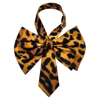 Nandanie Women's Black / Gold Milano Jenny Bow In Black/gold