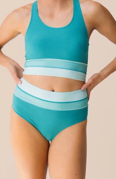 Nani Colorblock Swim Bottom In Brown