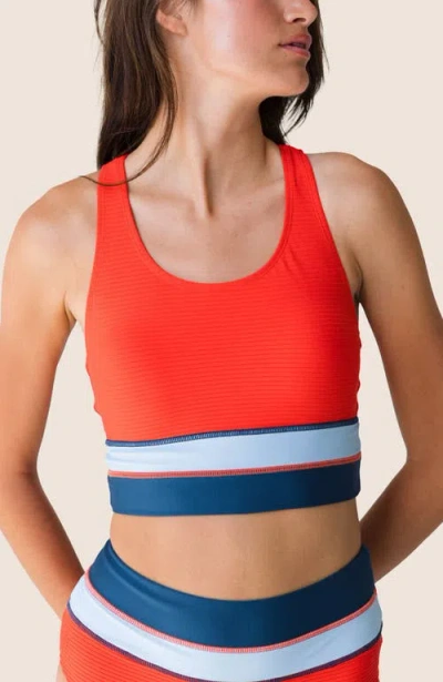 Nani Cut Back Crop Swim Top In Blue