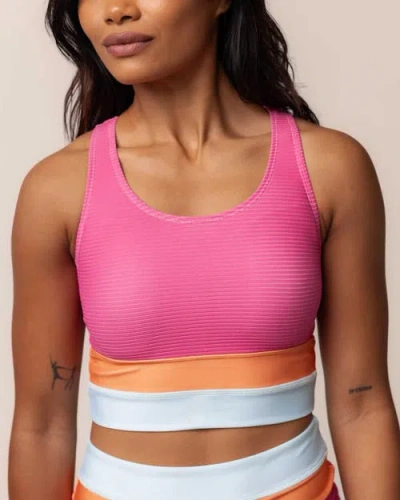 Nani Cut Back Crop Swim Top In Harper Ribbed