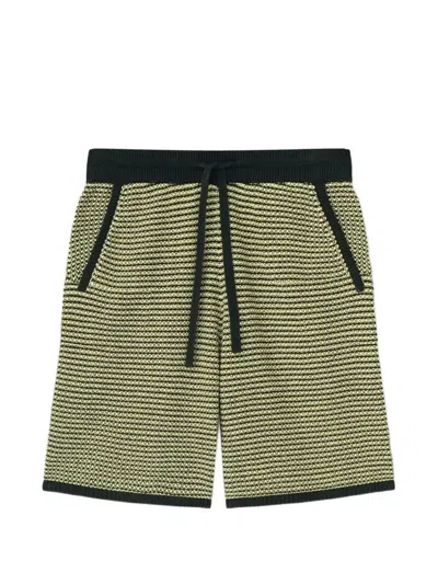 Nanushka Striped Knitted Shorts In Yellow