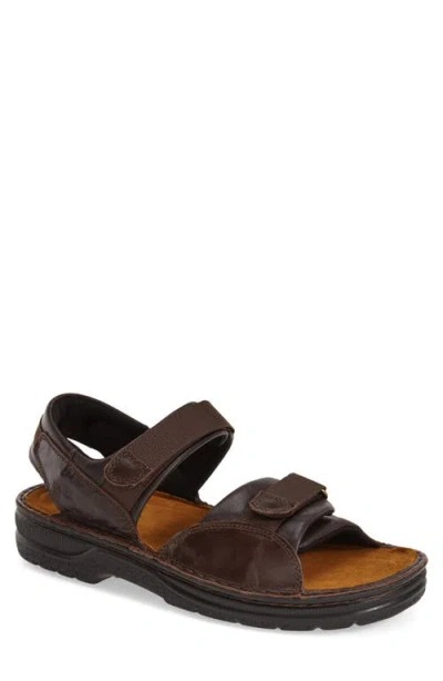 Naot Andes Sandal In Brown