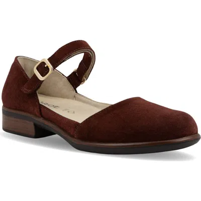 Naot Aniham Ankle Strap Flat In Brown