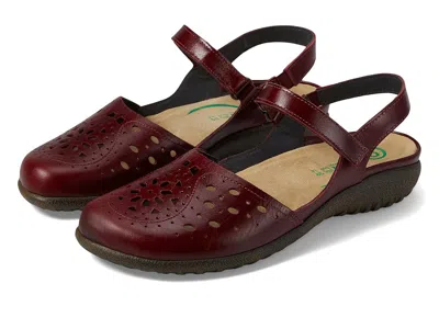 Naot Arataki In Burgundy