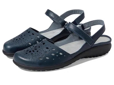 Naot Arataki In Blue