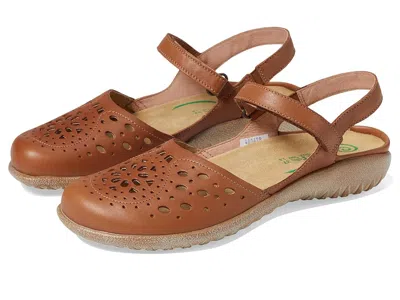 Naot Arataki In Brown