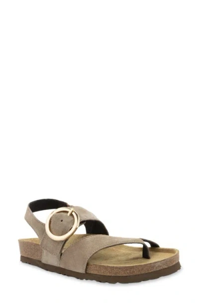 Naot Baltimore Slingback Sandal In Almond Suede
