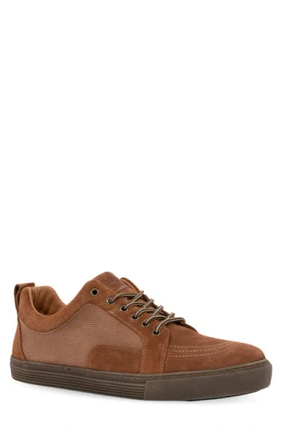 Naot Dash Sneaker In Brown Suede
