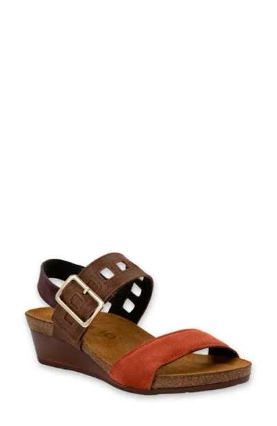 Naot Dynasty Wedge Sandal In Spice/antiqute Brown/cordovan