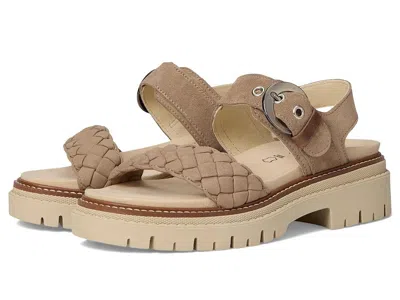 Naot Grove In Brown
