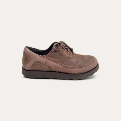 Naot Hakuba In Brown