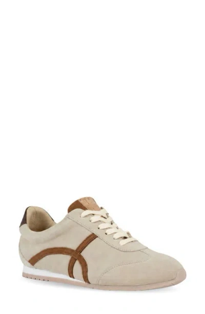 Naot Haven Sneaker In Brown