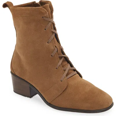 Naot Majesty Lace-up Boot In Acorn Suede