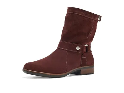 Naot Marin Women's Boots Cabernet Suede: Eu 40 (us Women's 9) M In Multi