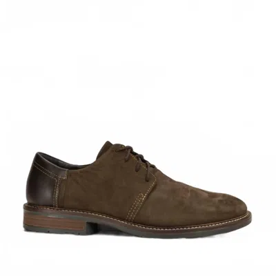 Naot Men's Chief Lace Up Shoe In Oily Brown/french Roast