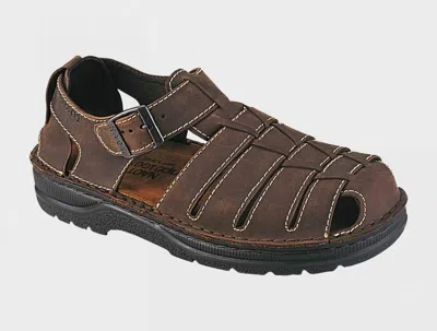 Naot Men's Julius Crazy Horse Sandal In Brown
