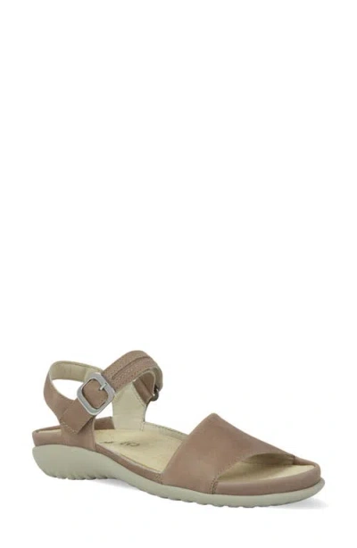 Naot Nagoya Sandal In Brown