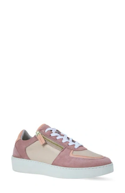 Naot Newbury Sneaker In Pink