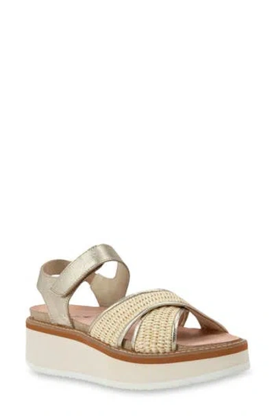 Naot Pavlova Platform Sandal In Radiant Gold/ Blonde Raffia
