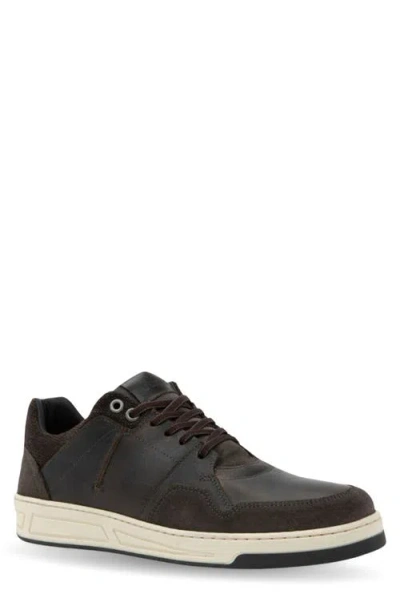 Naot Speed Sneaker In Dark Gray Brown Leather Combo