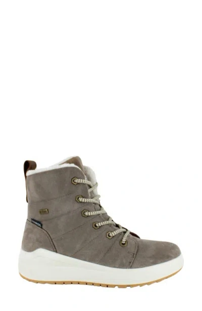 Naot Turner Water Resistant Lace-up Bootie In Brown