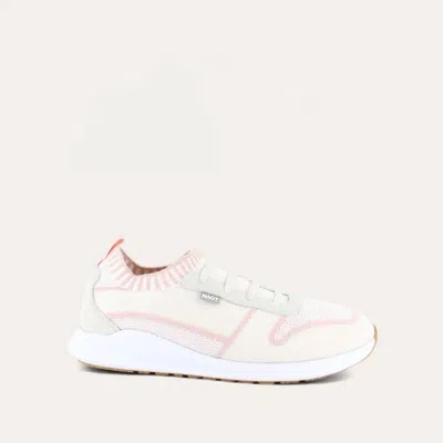 Naot Women's Adonis Slip On Sneakers - Medium In White/pink Knit