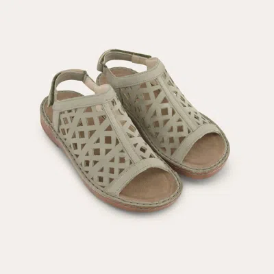 Naot Women's Amadora Nubuck Sandal In Sage In Multi