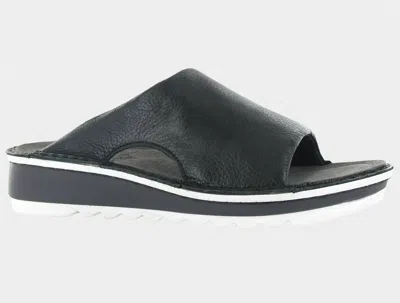 Naot Women's Ardisia Slip On Sandal In Black