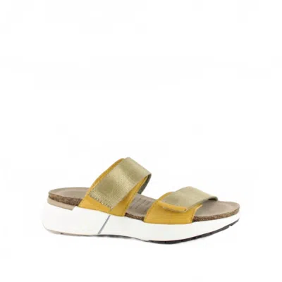 Naot Women's Calliope Sandal In Marigold In Gold