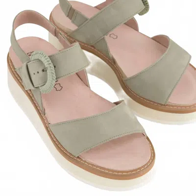 Naot Women's Crepe Sandal In Sage In Multi