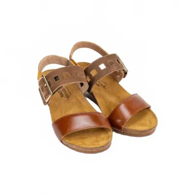 Naot Women's Dynasty Sandal In Maple Bnrown/antique Brown/marigold In Multi