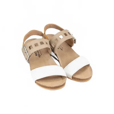 Naot Women's Dynasty Sandal In Soft White/soft Beige/marigold In Multi