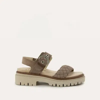 Naot Women's Grove Sandal In Almond Suede In Multi
