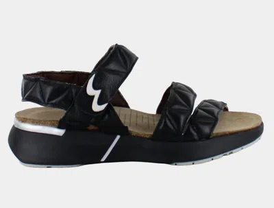 Naot Women's Kayla Sport Sandal In Black