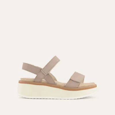 Naot Women's Meringue Sandal In Stone Nubuck In Multi